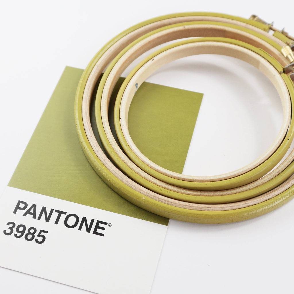 Three painted embroidery hoop with Pantone colour swatch.