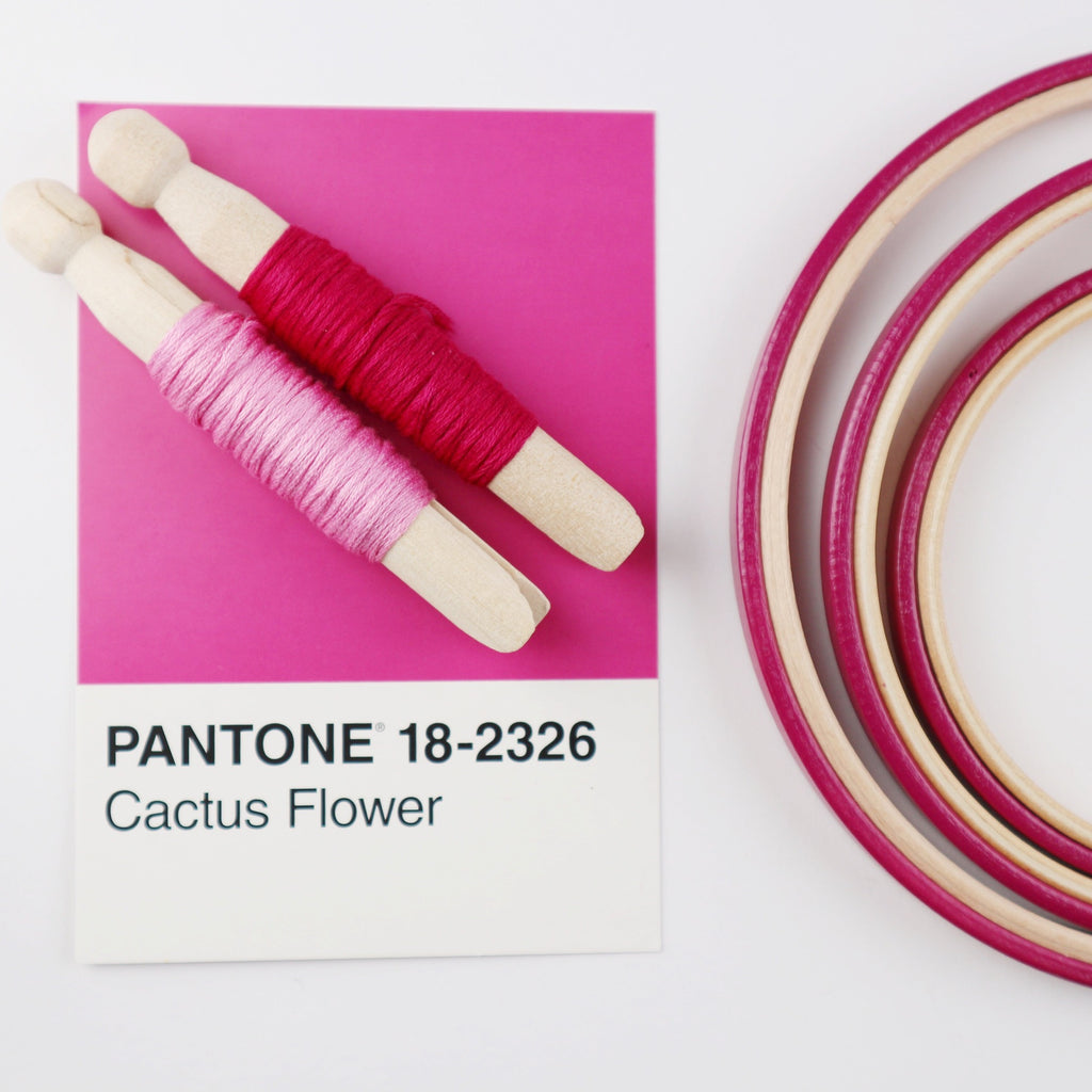 pink coloured embroidery hoops with Pantone card and DMC embroidery hoops