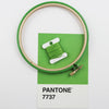 Pantone card with green embroidery hoop with thread.