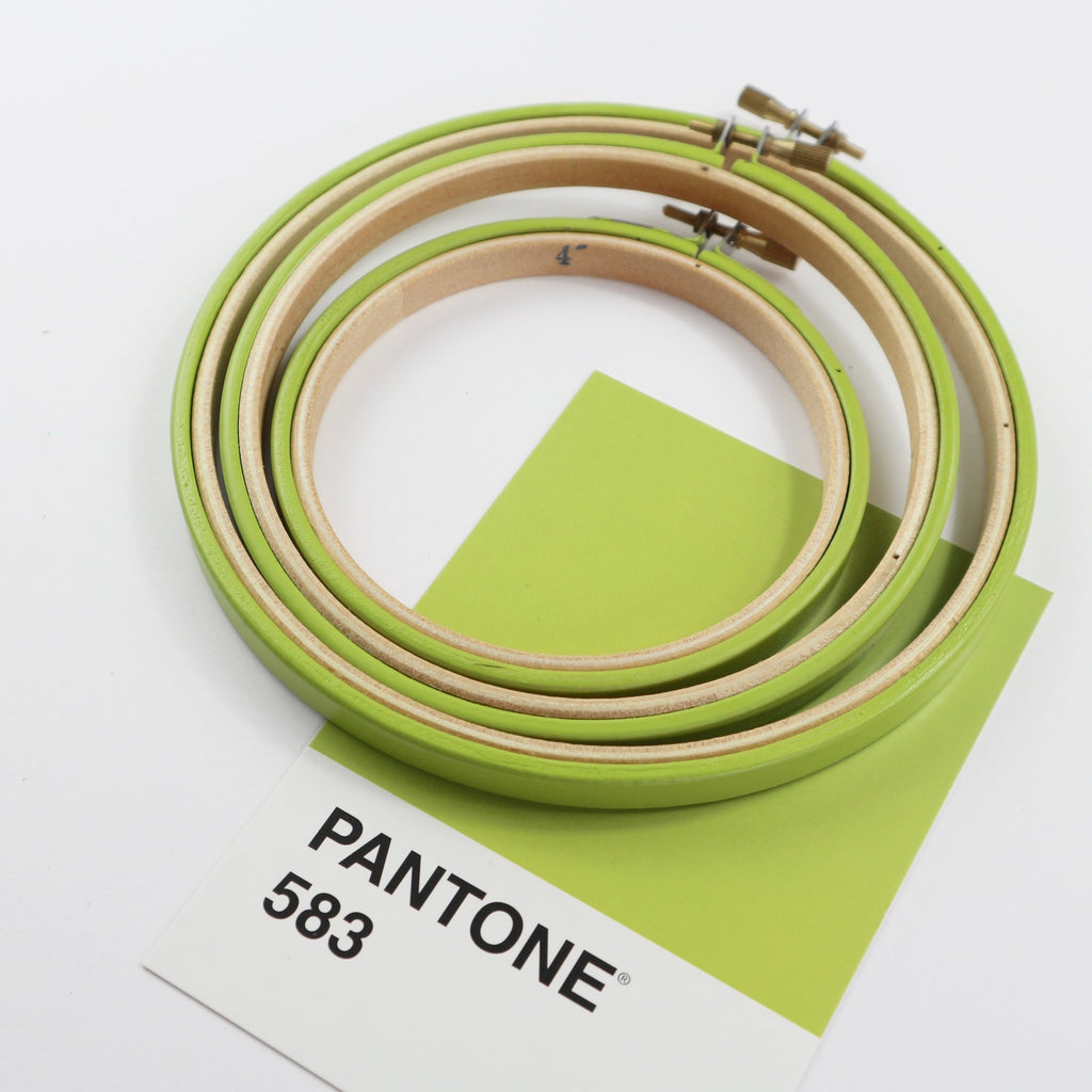 Painted embroidery hoops with colour match card.