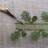 Green Satin Oak Leaf Ribbon with Sheer  Centre - StitchKits Crafts
