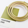 Three painted embroidery hoop with Pantone colour swatch. 
