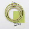 Lime green embroidery hoops with Pantone colour card.
